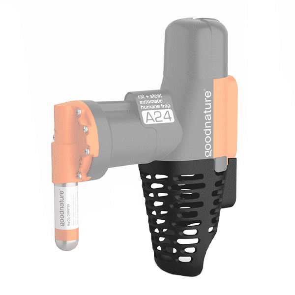 Goodnature A24 Skydd installerad