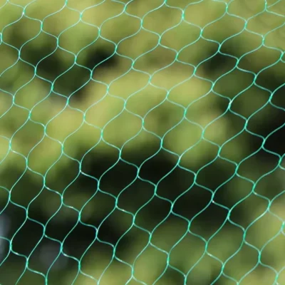 Beerenschutz-Vogelschutznetz | 2 x 5 Meter Umwelt
