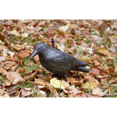 ”Raven” Fagelskramma fagel