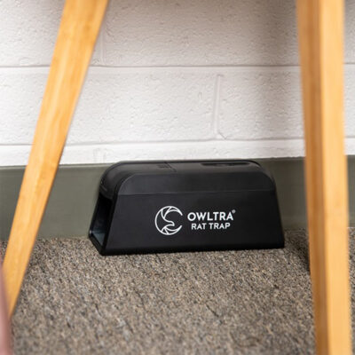 Owltra Råtta