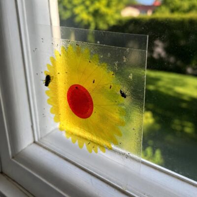 Fliegen- & Insektenfalle | Fenster Gelbe Blume 10er-Pack – Umgebung 2